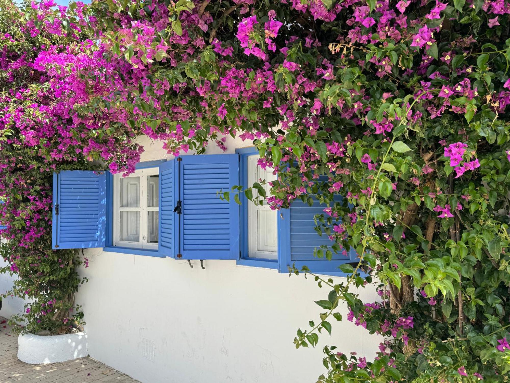 아쿠아아마르가 Casa Mellis Aguamarga 아파트 외부 사진